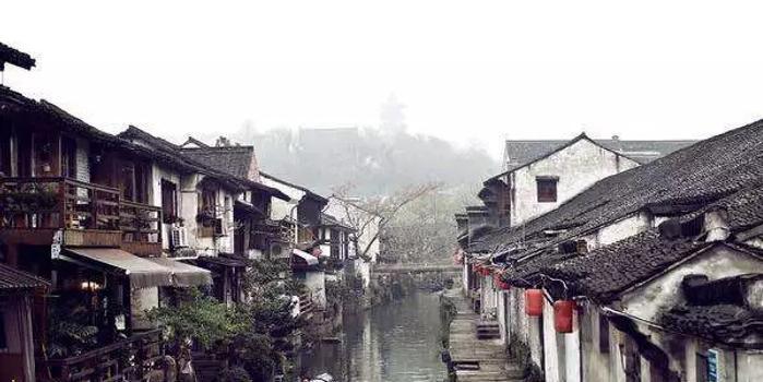 救援瓢虫宝宝